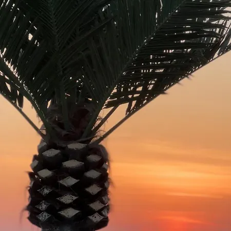 Vila Impresija, Fruska Gora *