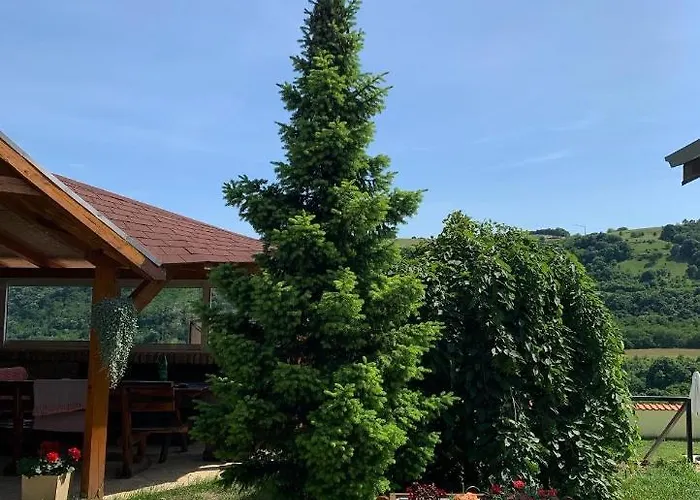 Impresija, Fruska Gora Вилла