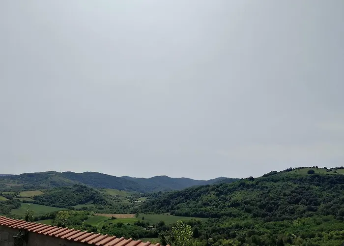 Impresija, Fruska Gora * Нови-Сад